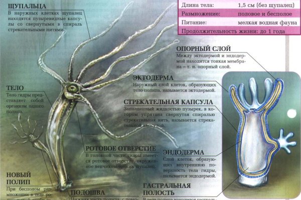 Кракен ссылка новая