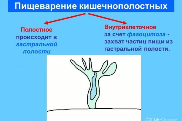 Магазин даркнета