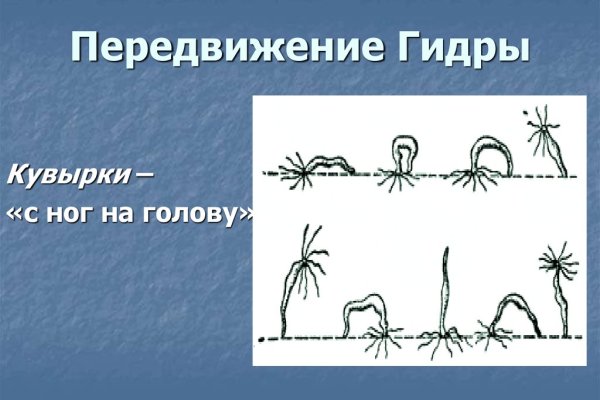 Сайт kraken в tor