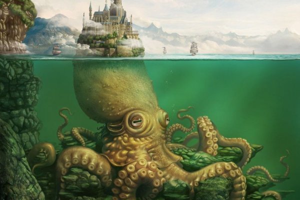 Kraken 20at