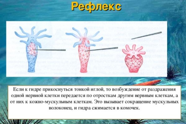 Кракен зеркало 2025