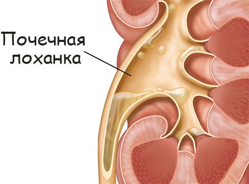 Кракен омг мега