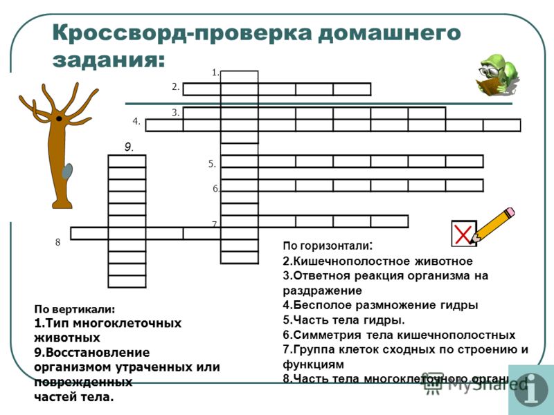 Kraken ссылки актуальные 2025 г